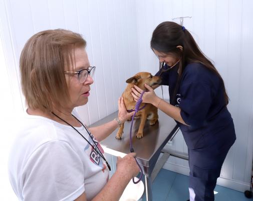 As Clínicas Veterinárias Móveis oferecem atendimento veterinário itinerante gratuito para cães e gatos